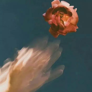 大丁丁插女人阴部视频
